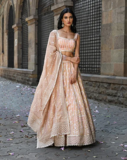 Sindhuri Banarsi Light Pink Lehenga