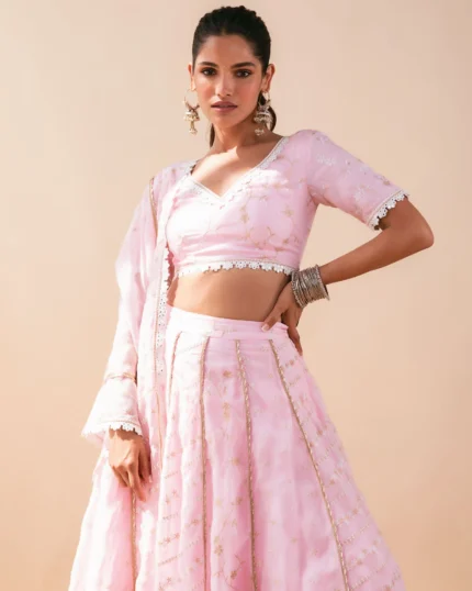 Mulmul Keylong Pink Organza Lehenga