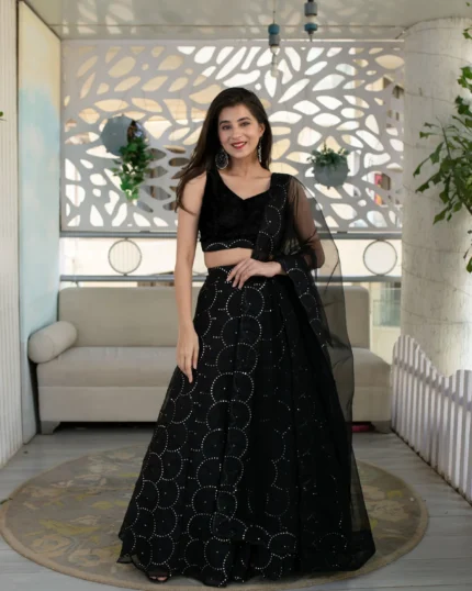 Black Organza Lehenga With Velvet Blouse