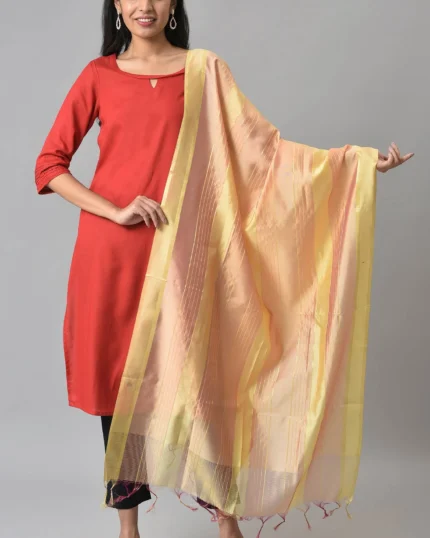 Women's Multi Coloured Banarasi Dupatta