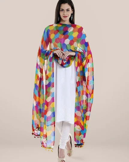 Multicoloured Printed Chiffon Dupatta